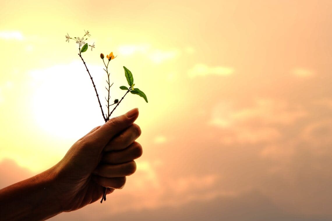 Beginning the day with Gratitude: The Morning Ritual that Can Transform Your Day