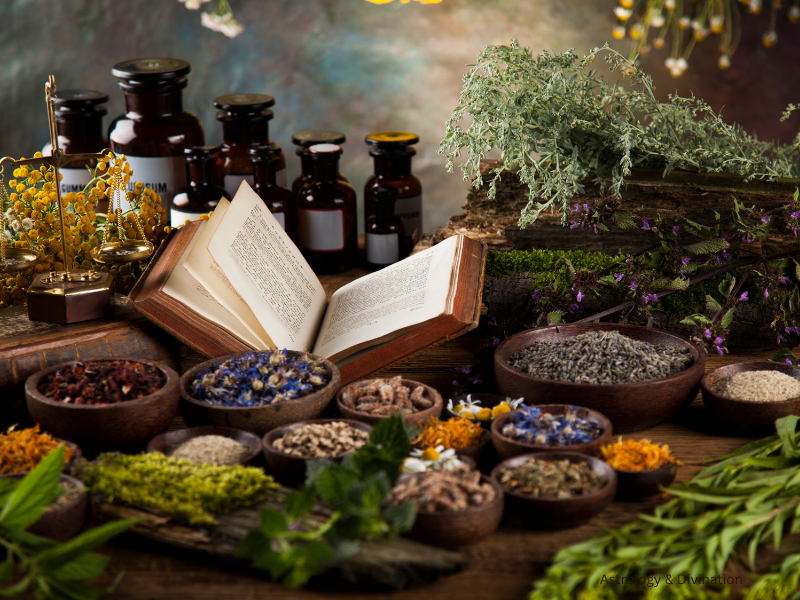 Traditional & Holistic Wellness